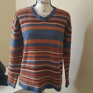 Express V-neck sweater